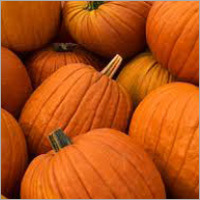 Pumpkin