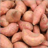 Sweet Potato