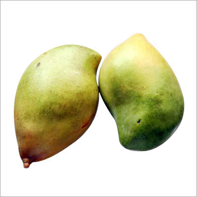 Totapuri Mango