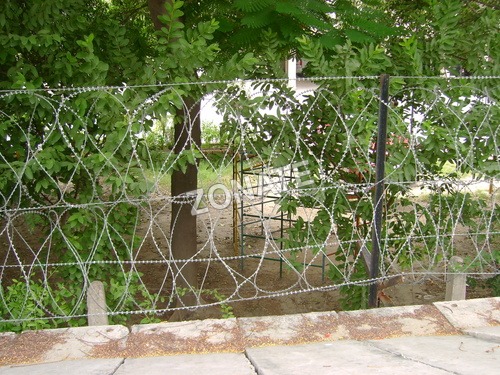 Concertina Wire