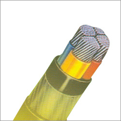 Power Cable