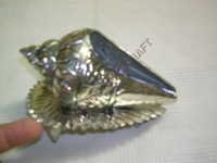 Small Shankh