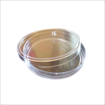 Petri Dish