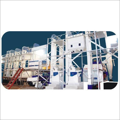 Sella Basmati Rice Plant