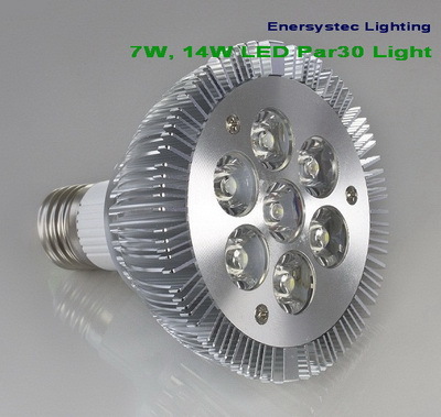 E27 7W 14W LED PAR30 Light Bulb