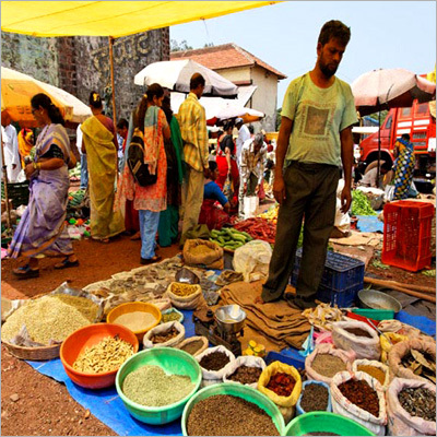 Village Tour Services