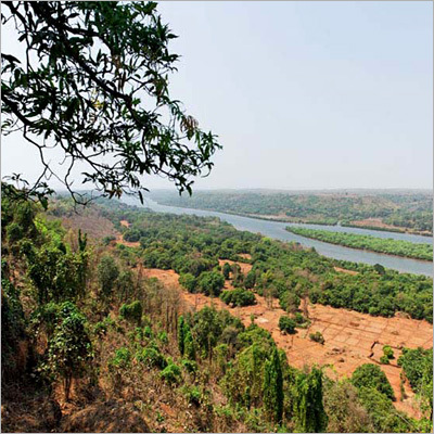 Tour & Travels Packages