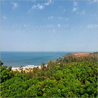 Tourist Services