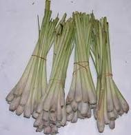 lemon grass oil