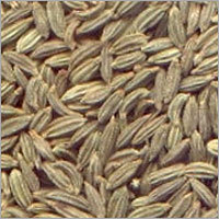 Roasted Fennel Seeds