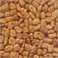 Fenugreek Seeds