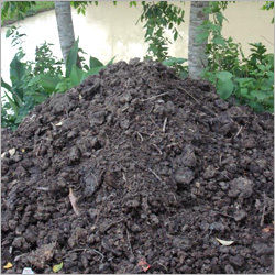 Organic Manure