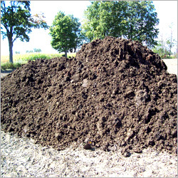Compost Big Manure