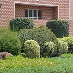 Comprehensive Grounds Maintenance Programs