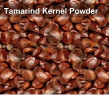 Tamarind Kernel Powder Printing Thickner