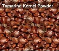 Tamarind Gum Powder Textile Grade