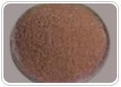 Isabgula