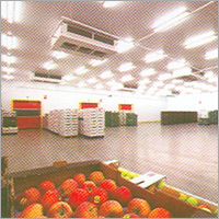 Cold Rooms Turnkey Project