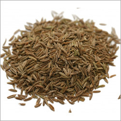 Cumin Essential Oil