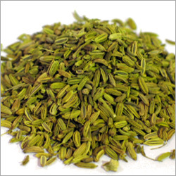 Fennel Essential Oil