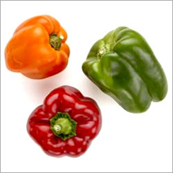 Capsicum Oleoresin