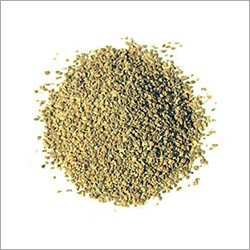 Celery Oleoresins