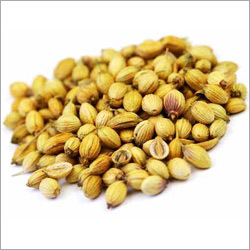 Coriander Oleoresins