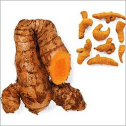 Turmeric