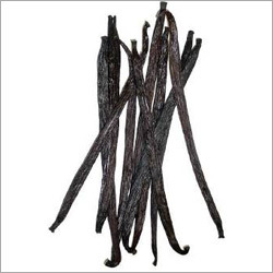 Vanilla Beans Extract