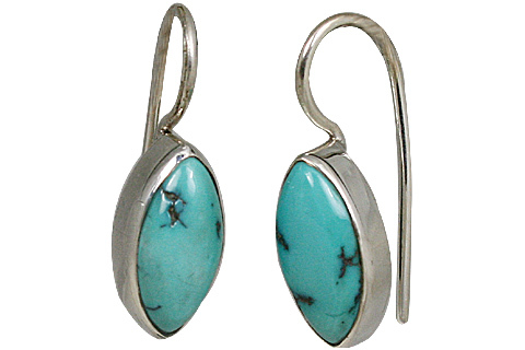 Turquoise Earring