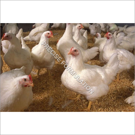 NaDcc Tablet For Poultry Farm