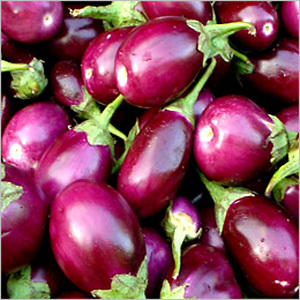 Brinjal