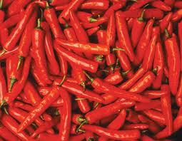 Dry Red Chilli