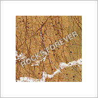 Rain Forest Gold Marble