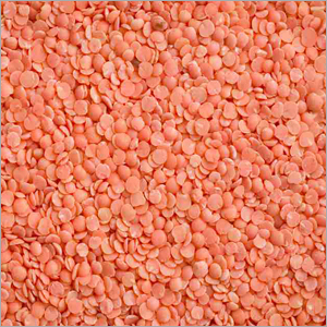 Dal - Lentils Small Round Orange | High Protein Easy Cooking Versatile Use Good Source Fiber