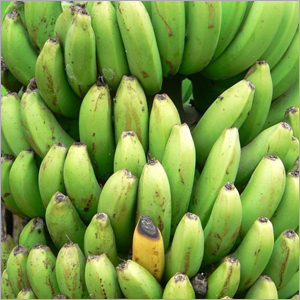 Green and Yellow Bananas