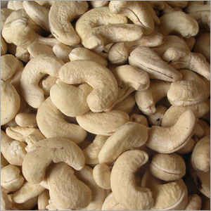 Cashew Nut