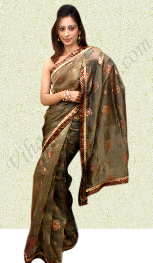 Dark Dusky Grey Tissue Sari