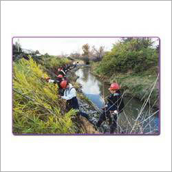 Plant Based APIs & Phytochemicals