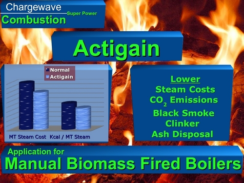 Actigain for Manual Biomass Fired Boilers