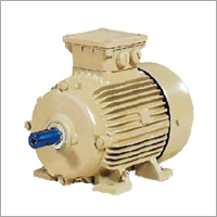 Squirrel Cage Induction Motors