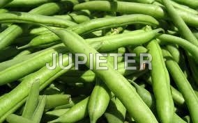 Beans - Green, 10-15 cm Long | Delicious, Fresh, High-Fiber, Nutritious, Versatile for Culinary Use in Salads, Soups, Stews, and More