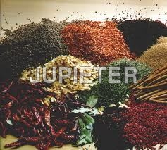 Spices Indian