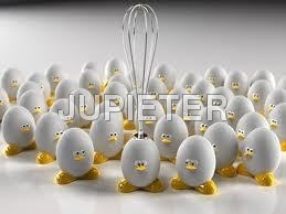 Chicken Eggs