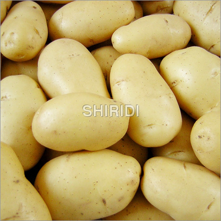 Potato - 100-200g Pale Yellow, Oval Shape | Fresh, Nutritious, Tasty, Zero Infection