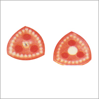 Triangular Brush