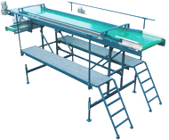 Inspection Belt Conveyor