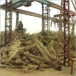 Mechanical Sugar Cane Feeding