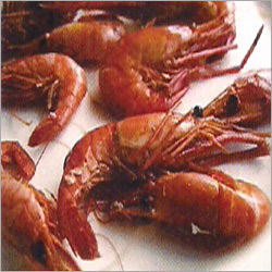 Shrimp Processing Turnkey Projects