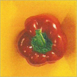 Post Harvest Management For Vegetables